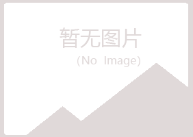 河南山柏化学有限公司